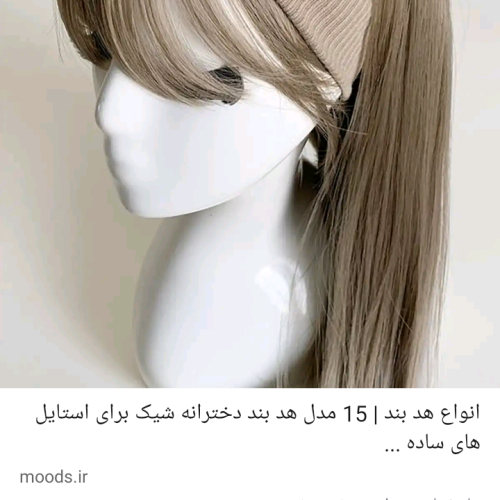 آب میوه گیر