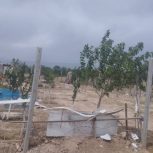 زمین شهرکی آینده ای روشن برای سرمایه گذاری