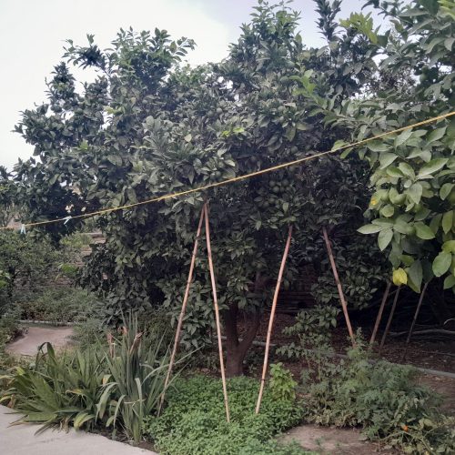 خانه ویلایی در مازندران ، شهرستان بهشهر ، روستای زاغمرز