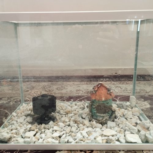 آکواریوم شیشه خم با تمام وسایل