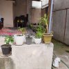 خانه ویلایی اماده استاده با ویو عالی و سرسبز.