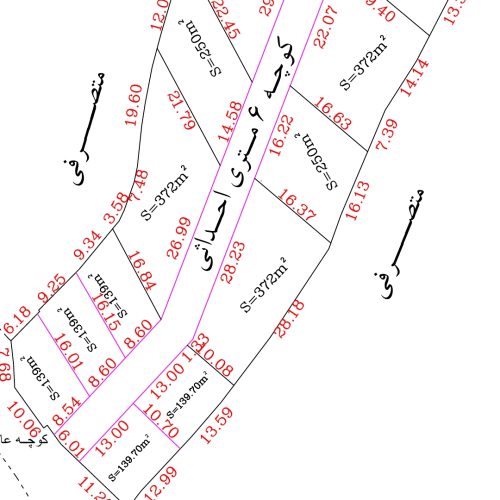فروش زمین باغ در مازندران ویو ابدی