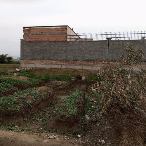 زمین زنگیان