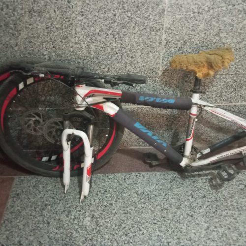 دوچرخه مدل ژیپ