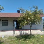 ویلا فروشی با درختان میوه