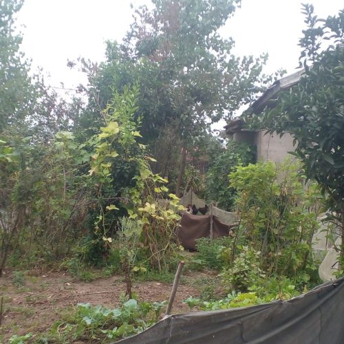 فروش زمین و باغ و خانه ویلایی