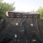 وانت بار کرایه