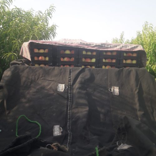 وانت بار کرایه