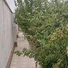باغ ویلا