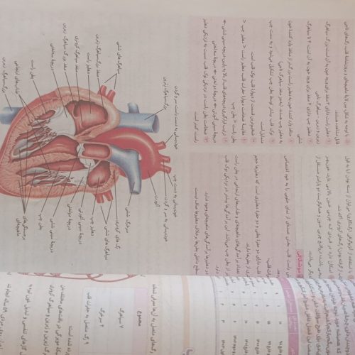 کتاب آی کیو درسنامه جامع زیست شناسی