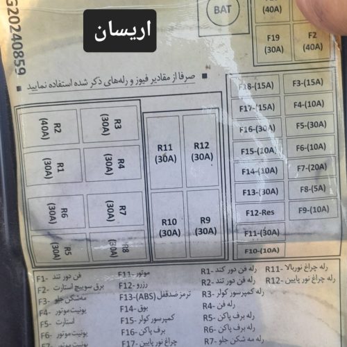 مرغ عشق دستی نر…ماده