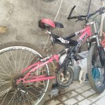 دوچرخه حرفه ای سند دار سایز26