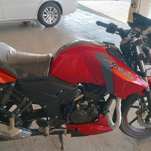 آپاچی آلبالویی کم کار خوش رخ