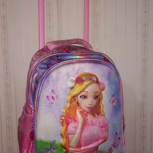 کوله پشتی چمدونی