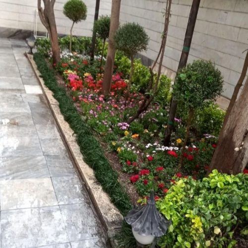 خدمات باغبانی هرسکاری گل کاری و تعویض خاک‌گلدون در منزل