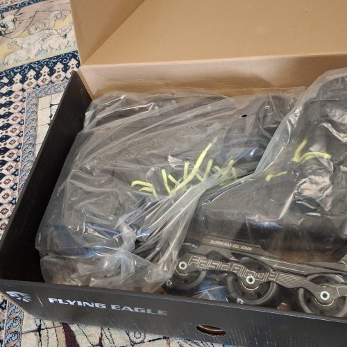 اسکیت فلایینگ ایگل مدل fBs سایز 41.42