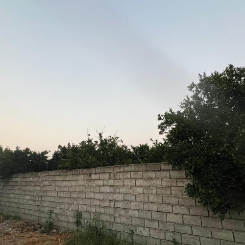 هزار متر مربع باغ فروشی