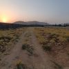 زمین باغ شهری ،کودیان آب پرده