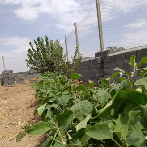 فروش باغ