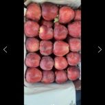 اجاره باغ سیب در مشگین شهر