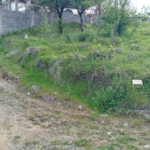 زمین ویلایی در توریسیتی ترین منطقه گیلان