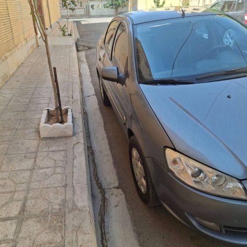 رانا خاکستری تمیز