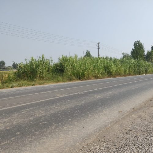 فروش 7 هزار متر زمین کشاورزی