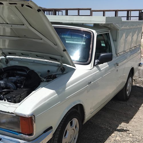 حمل تمام بارها