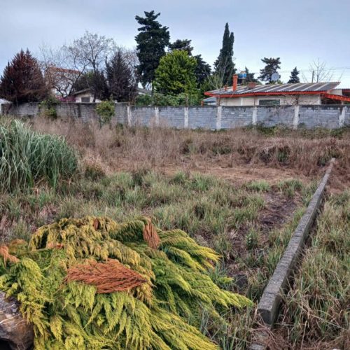 330متر داخل مجتمع شمال جنوبی داخل بافت راه 6 متری