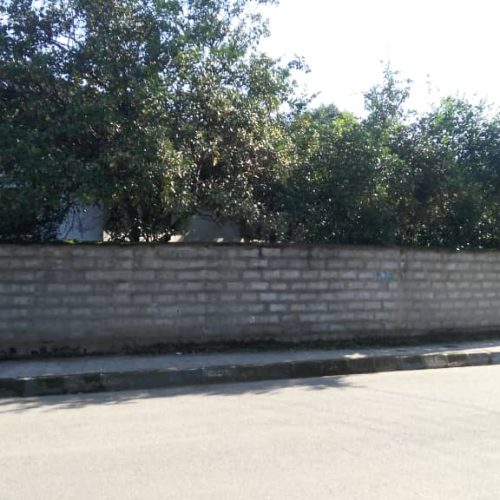 زمین 420 متری در متلقو مازنداران