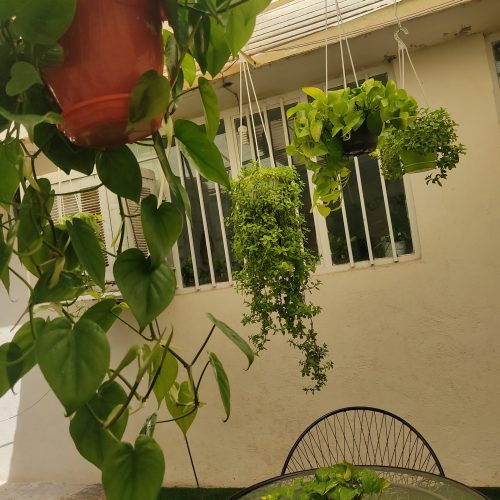 اجاره اتاق در سالن زیبایی