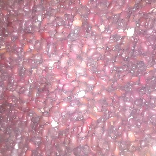لوبیاقرمز