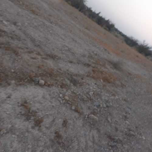 فروش زمین گلنگی سرخون