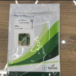 فروش انواع بذر خیار