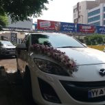 گلفروشیvip