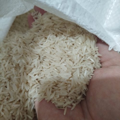 برنج فجرسوزنی امساله خوش پخت