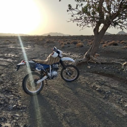 تریل 250دیجیبل
