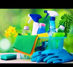 شرکت خدماتی دکترمجیدشیرانی