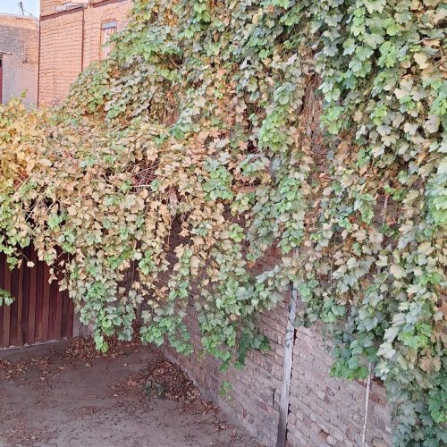 خانه ویلایی 320 متری یک خوابه