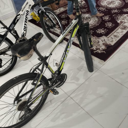 دوچرخه ویوا اکسیژن