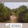 نیم هکتار همراه با سند وهر ماه 660لیتر گازوئیل با