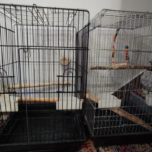 سه تا قفس کاسکویی بزرگ نو