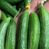 فروش انواع عرقیات و مواد غذایی خانگی و حبوبات و ترشی