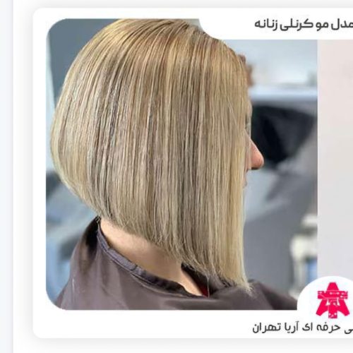 مدل برای کوتاهی و اصلاح وابرو