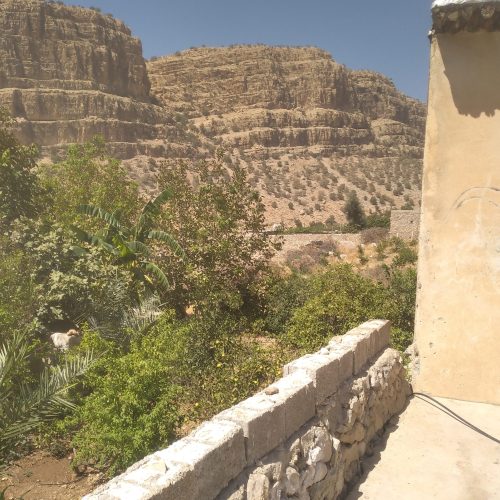 فروش یک باغچه به متراژ 3000 متر وتعداد 130 درخت