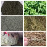 عرضه انواع محصولات خانگی