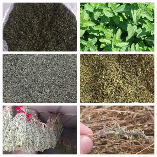 عرضه انواع محصولات خانگی