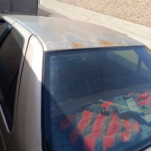 پژو دوگانه 82