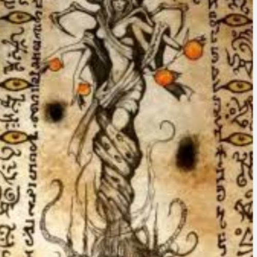 سرکتاب ،مهره مار و خرمهره اصلی