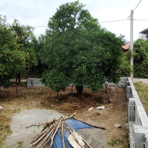 فروش زمین مسکونی